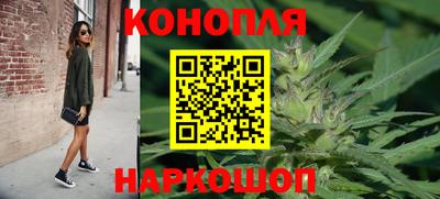 Альфа ПВП Обь